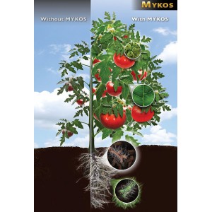 Xtreme Gardening - Mykos -...