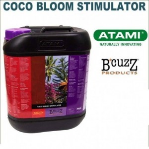 Atami - Coco Bloom...